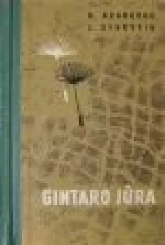 Gintaro jūra - N. Asanovas, J.   Sturytis, knyga