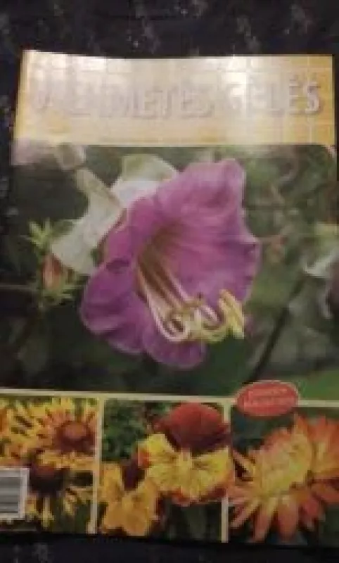 Augalų pasaulis, 2010 m., Nr. 47 - Autorių Kolektyvas, knyga