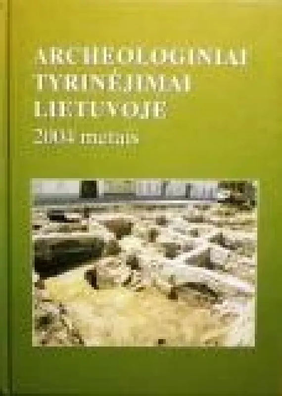 Archeologiniai tyrinėjimai Lietuvoje 2004 metais - Autorių Kolektyvas, knyga
