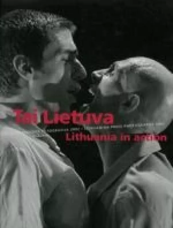 Lietuvos spaudos fotografija 2002 - Autorių Kolektyvas, knyga