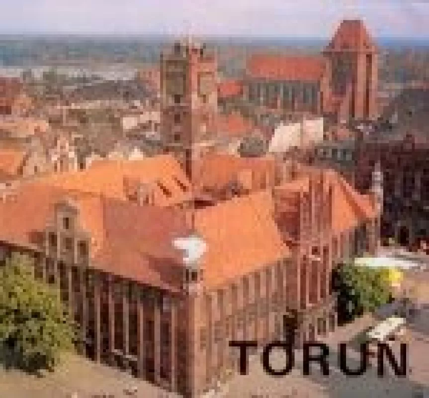 Toruń - Autorių Kolektyvas, knyga