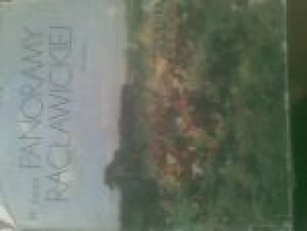 W kręgu panoramy raclawickiej - Autorių Kolektyvas, knyga