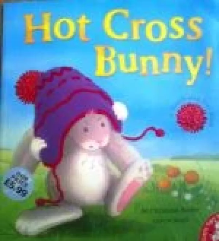 Hot Cross Bunny! - M Christina Butler, Gavin  Scot, knyga