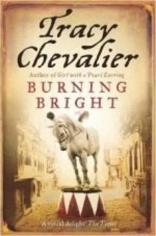 Burning Bright - Tracy Chevalier, knyga