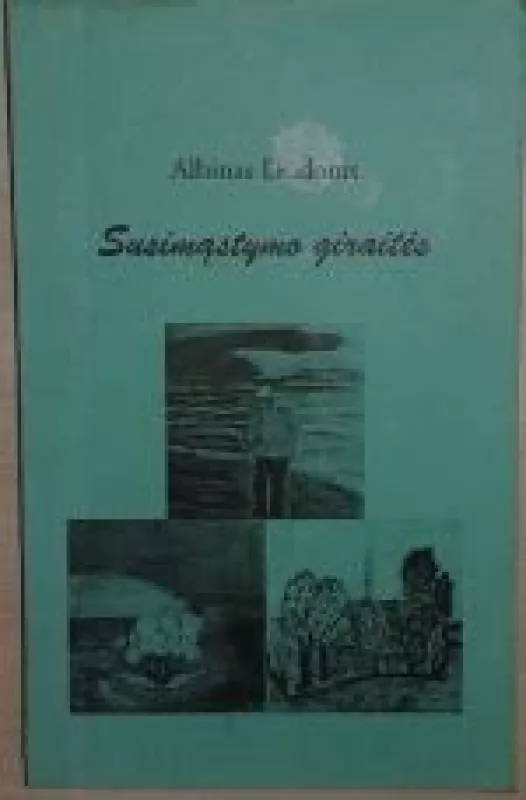 Susimąstymo giraitės - Albinas Dūdonis, knyga