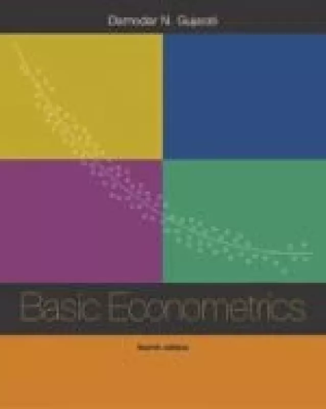Basic Econometrics - Autorių Kolektyvas, knyga