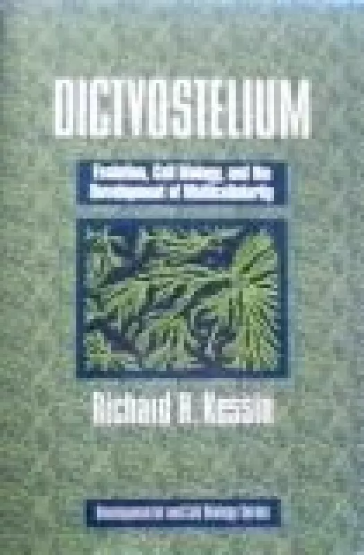 Dictyostelium - Richard H. Kessin, knyga