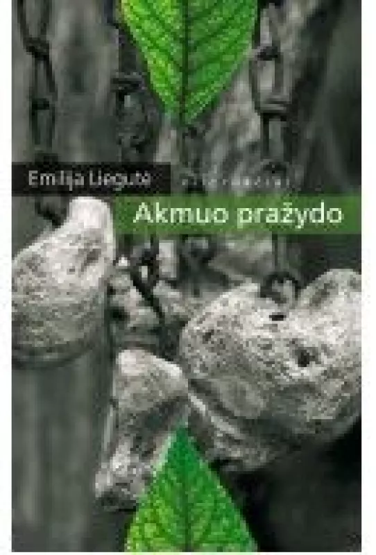 Akmuo pražydo - Emilija Liegutė, knyga