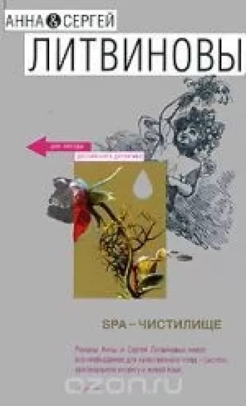 SPA-чистилище - Анна и Сергей Литвиновы, knyga