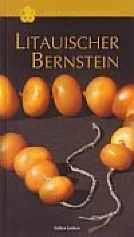Litauischer Bernstein - Gintautas Mažeikis, knyga