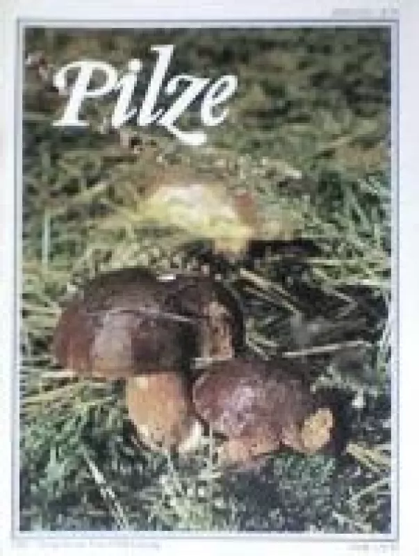 Pilze - Autorių Kolektyvas, knyga