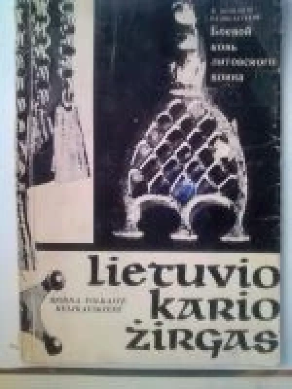 Lietuvio kario žirgas - Volkaitė-Kulikauskienė Regina, knyga