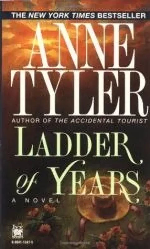 Ladder of the Year - Anne Tyler, knyga