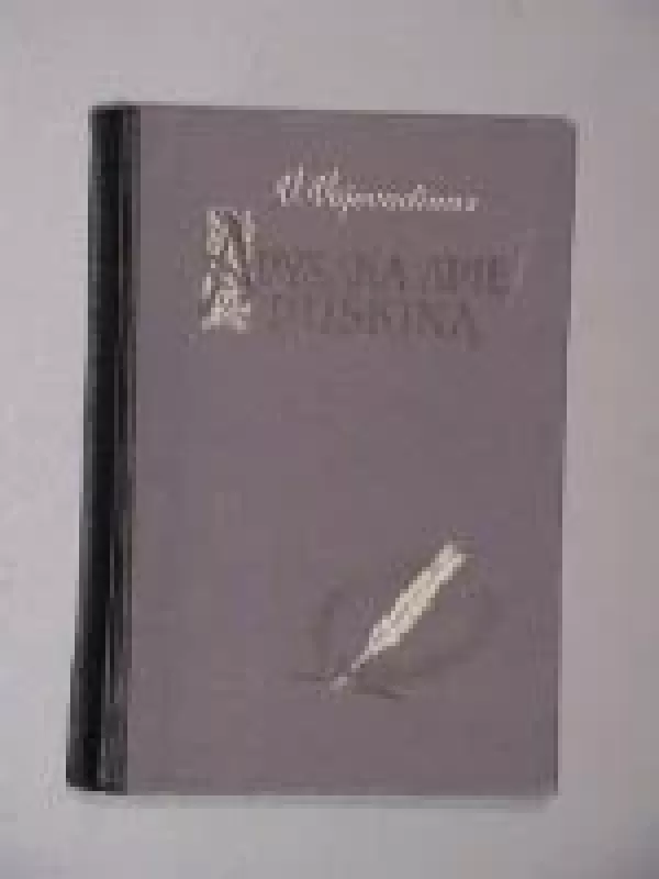 Apysaka apie Puškiną - V. Vojevodinas, knyga
