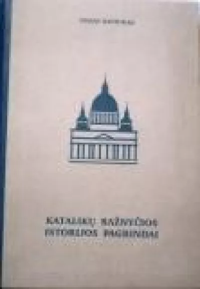 Katalikų bažnyčios istorijos pagrindai - Tadas Navickas, knyga