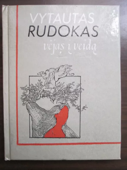 Vėjas į veidą - Vytautas Rudokas, knyga