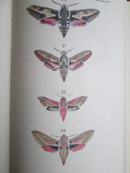 Школьный атлас-определитель бабочек - М.П. Корнелио, knyga 1