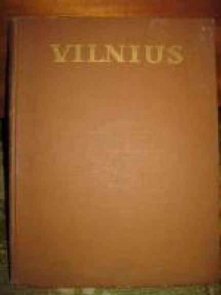 Vilnius. Architektūra iki XX amžiaus pradžios