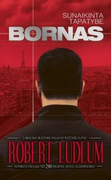 Bornas. Sunaikinta tapatybė - Robert Ludlum, knyga