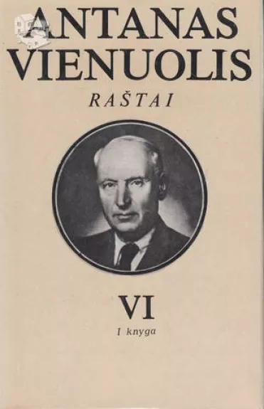 Raštai VI - Antanas Vienuolis, knyga