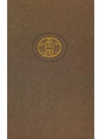 XX a. rytų proza - Autorių Kolektyvas, knyga