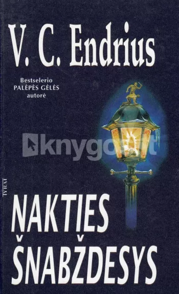 Nakties šnabždesys - V. C. Endrius, knyga