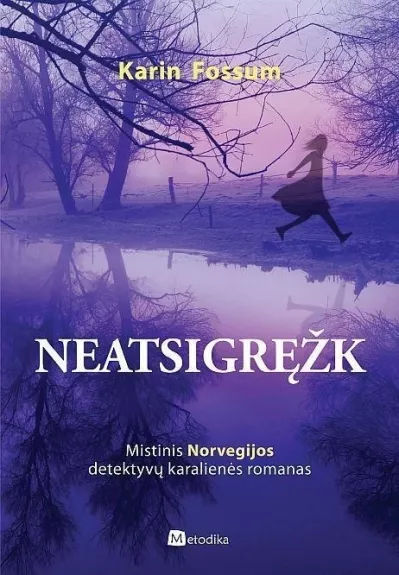 Neatsigręžk - Karin Fossum, knyga