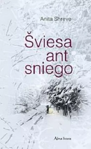 Šviesa ant sniego - Anita Shreve, knyga