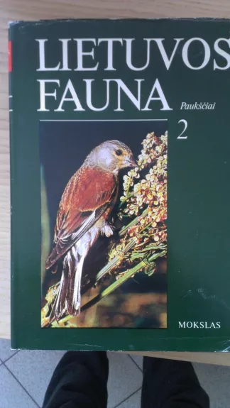 Lietuvos fauna. Paukščiai (2 dalis) - Autorių Kolektyvas, knyga