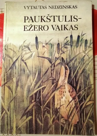 Paukštulis - ežero vaikas - Vytautas Nedzinskas, knyga