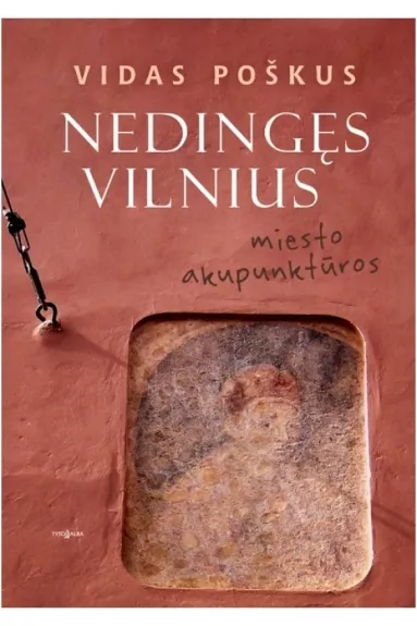 Nedingęs Vilnius miesto akupunktūros - Vidas Poškus, knyga