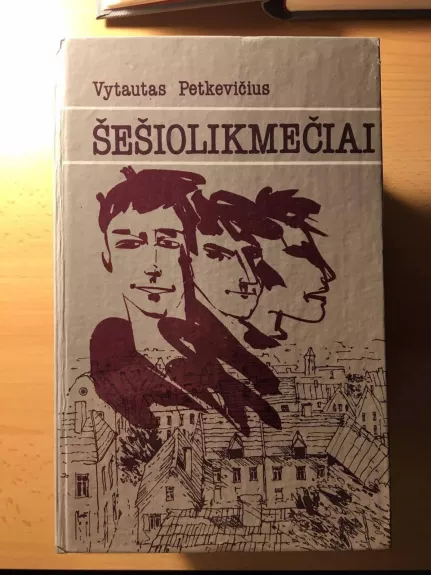 Šešiolikmečiai - Vytautas Petkevičius, knyga