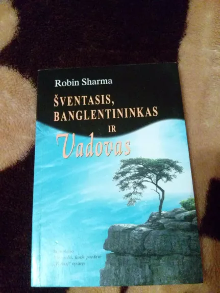 Šventasis, banglentininkas ir vadovas - Robin Sharma, knyga
