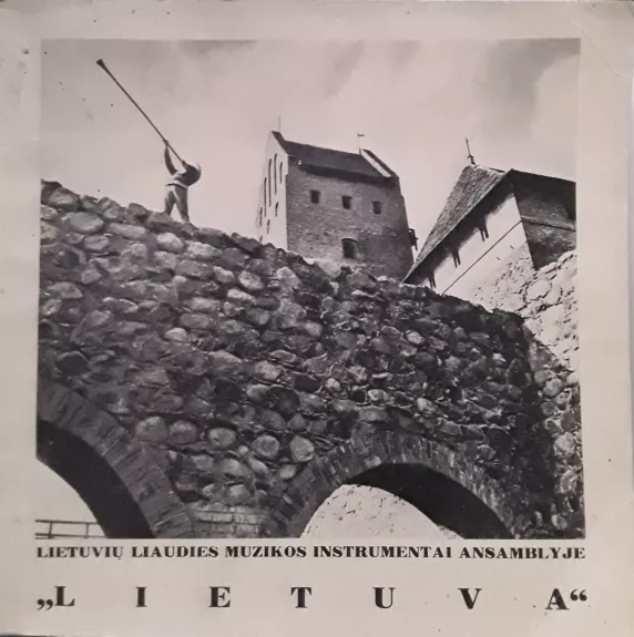 Lietuvių liaudies muzikos instrumentai ansamblyje "Lietuva" - Vladas Baltuškevičius, knyga
