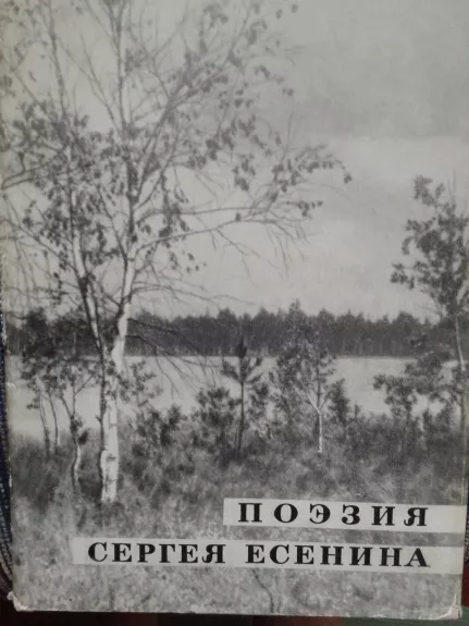 Поэзия Сергея Есенина - П. Юшин, knyga
