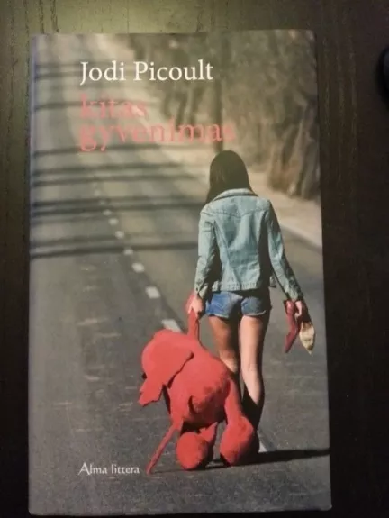 Kitas gyvenimas - Jodi Picoult, knyga