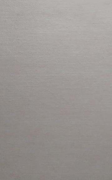 Lietuvos praeitis (I tomas)