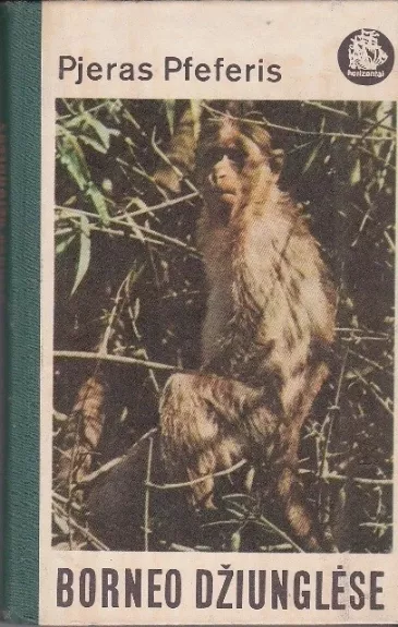 Borneo džiunglėse