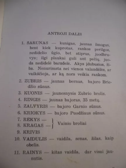 Šarūnas, Dainavos kunigaikštis (II dalis) - Vincas Krėvė, knyga 1