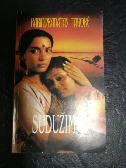 Sudužimas - Rabindranatas Tagorė, knyga