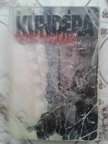 Nemirtingumas - Milan Kundera, knyga 1