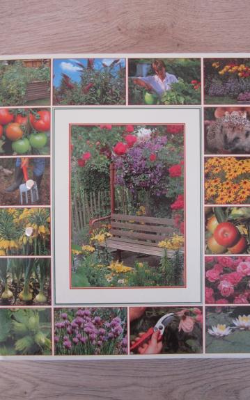 Mano svajonių sodas - Autorių Kolektyvas, knyga 1