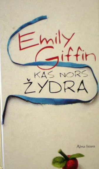 Kas nors žydra - Emily Griffin, knyga