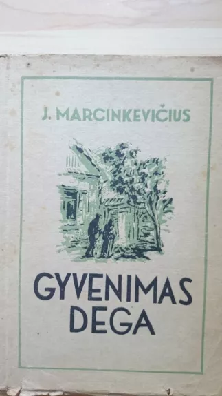 Gyvenimas dega - Jonas Marcinkevičius, knyga