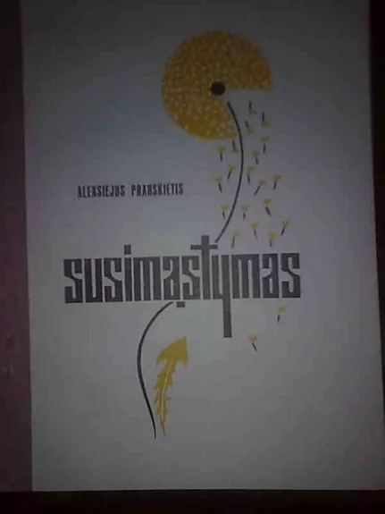 Susimąstymas - Aleksiejus Pranskietis, knyga