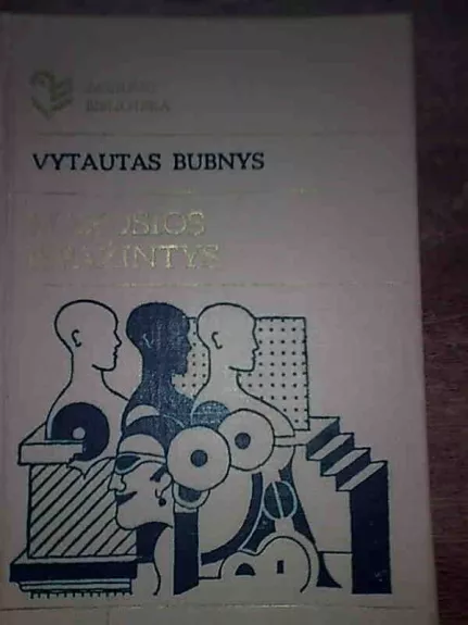 Mažosios išpažintys - Vytautas Bubnys, knyga