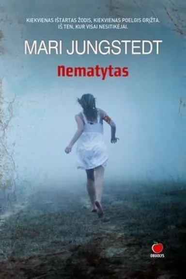 Nematytas - Mari Jungstedt, knyga