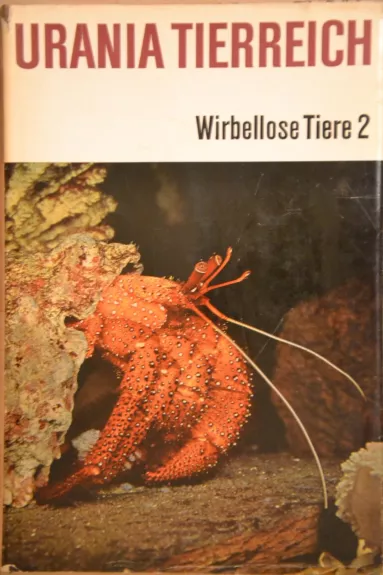 Wirbellose Tiere 2 - Autorių Kolektyvas, knyga