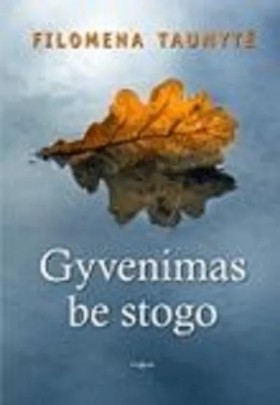 Gyvenimas be stogo