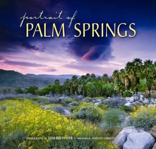 Portrait of Palm Springs - Tom Brewster, knyga